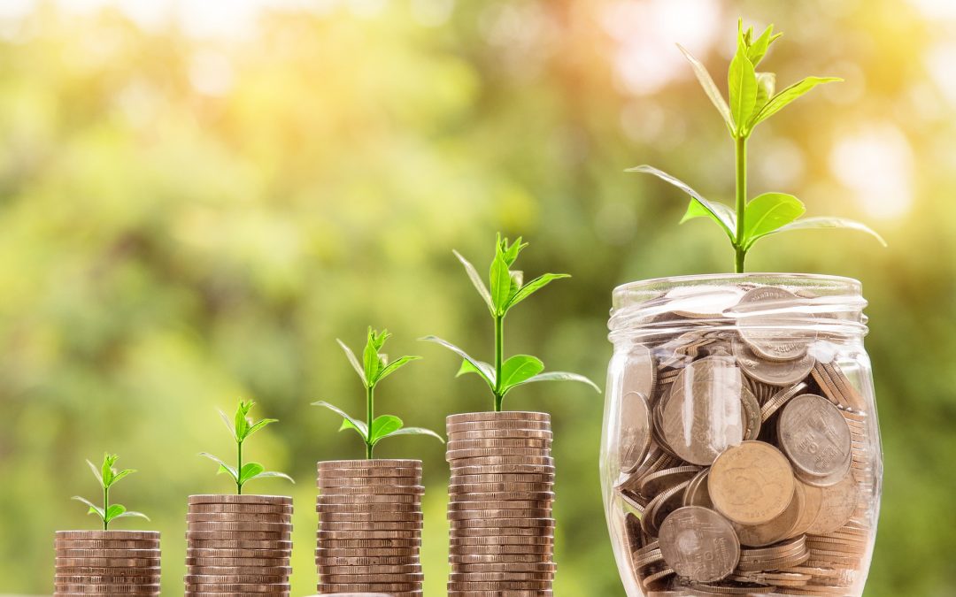 7 Steps to Get Your Finances in Order and Achieve Financial Freedom