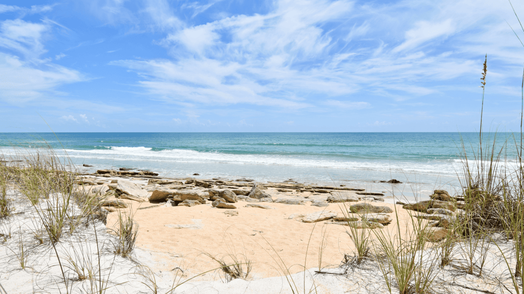 photo of a beach