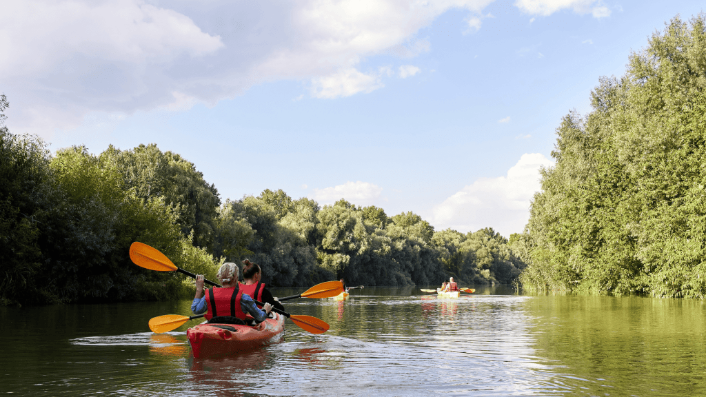 people kayaking 