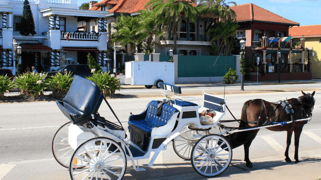 Horse drawn carriage